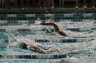 Swimming vs Babson  Wheaton College Swimming vs Babson College. - Photo By: KEITH NORDSTROM : Wheaton, Swimming, Babson